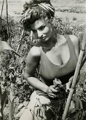 Шилла Габель